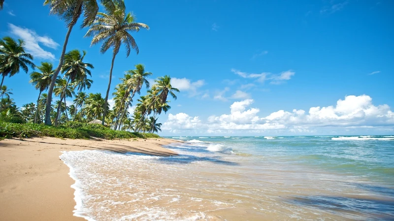Melhores praias do Brasil- Salvador